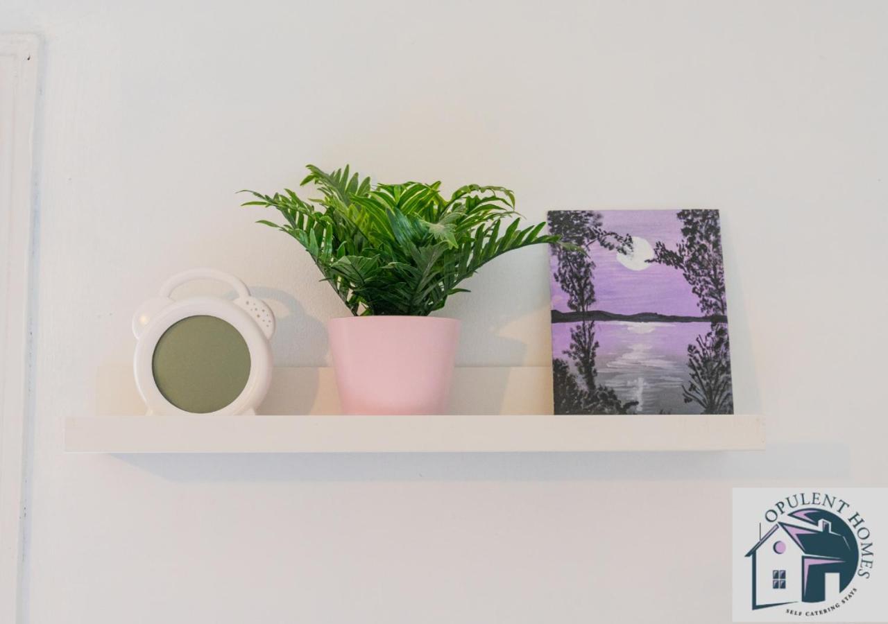 Contractors Pad - 4 Bed Town House - Cent Reading - Free Parking Βίλα Εξωτερικό φωτογραφία